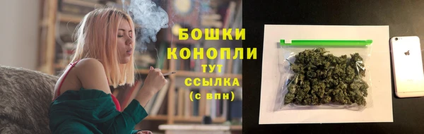 твердый Абаза