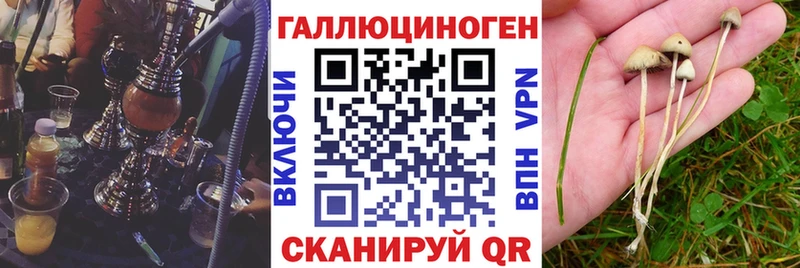 Галлюциногенные грибы Psilocybine cubensis  Дятьково 